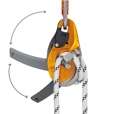 Спусковое устройство Rig Petzl