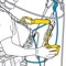 Страховочное устройство Petzl ASAP LOCK B071BA00