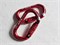 Карабин LEDTCH Alps Oval 2LOCK CO01TW